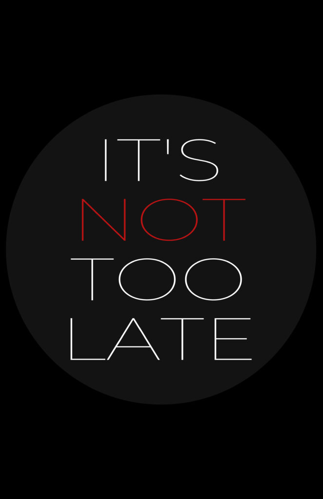 Minimalist black poster with a dark gray oval centered. The text “IT’S NOT TOO LATE” is stacked vertically in thin, modern, all-caps white font. The word “NOT” is highlighted in red to emphasize urgency.