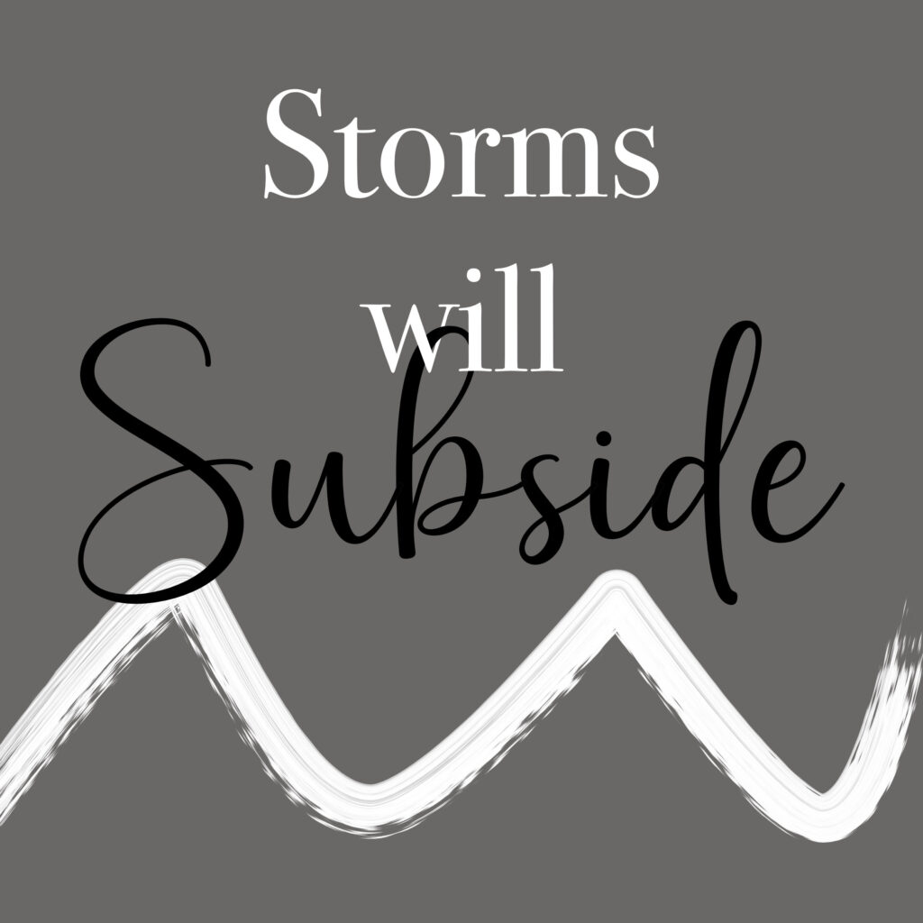 Gray background with the text 'Storms will Subside' where 'Storms' appears in white serif font at top, 'will' in smaller white serif centered, and 'Subside' in black flowing script. A white brushstroke wave runs along the bottom edge.