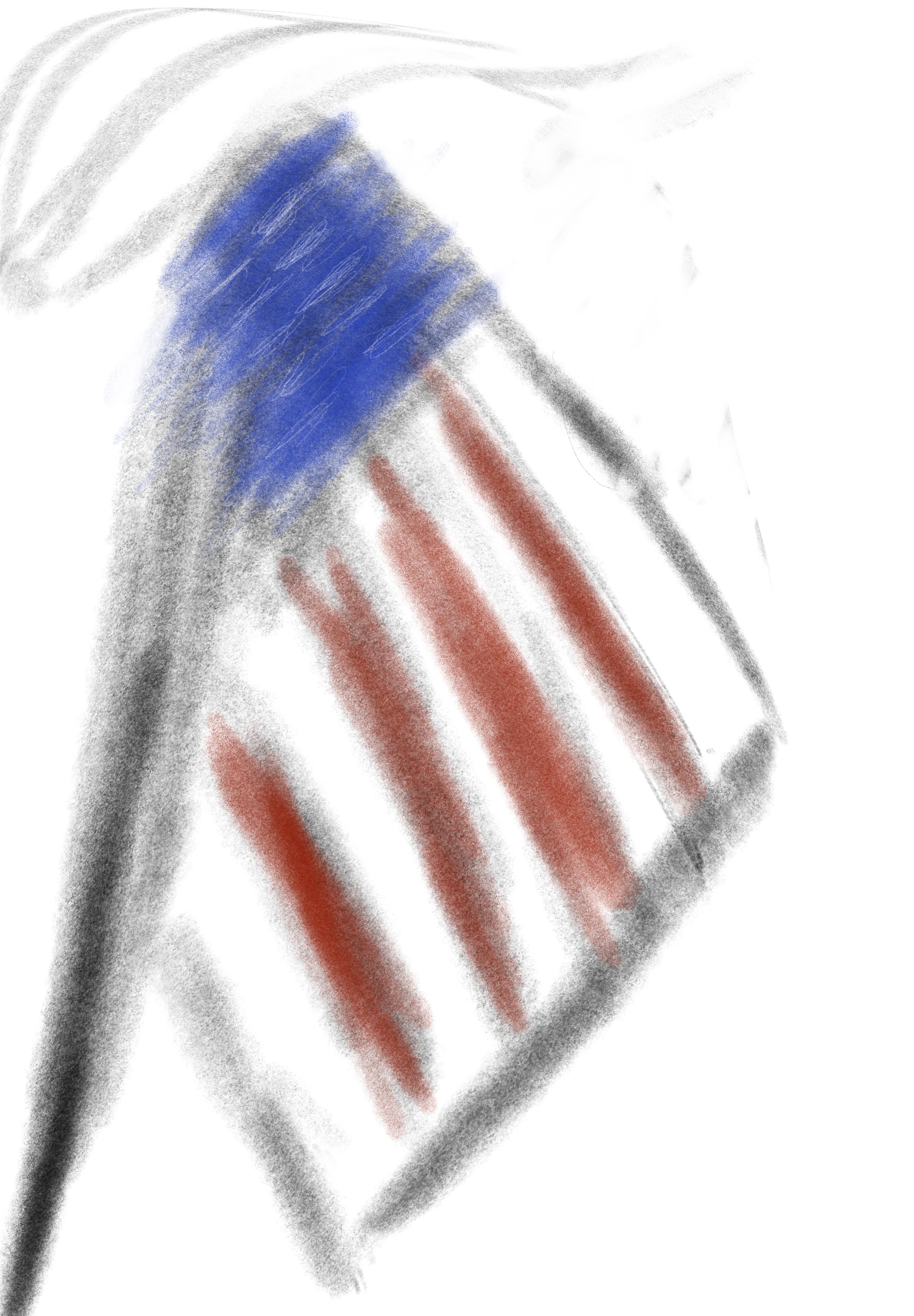 sad little flag
